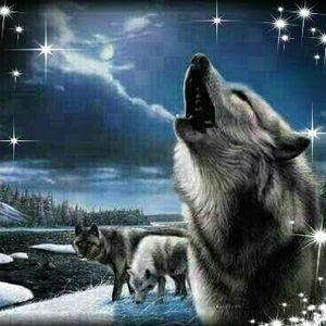 Meet your Posher, Chrissy